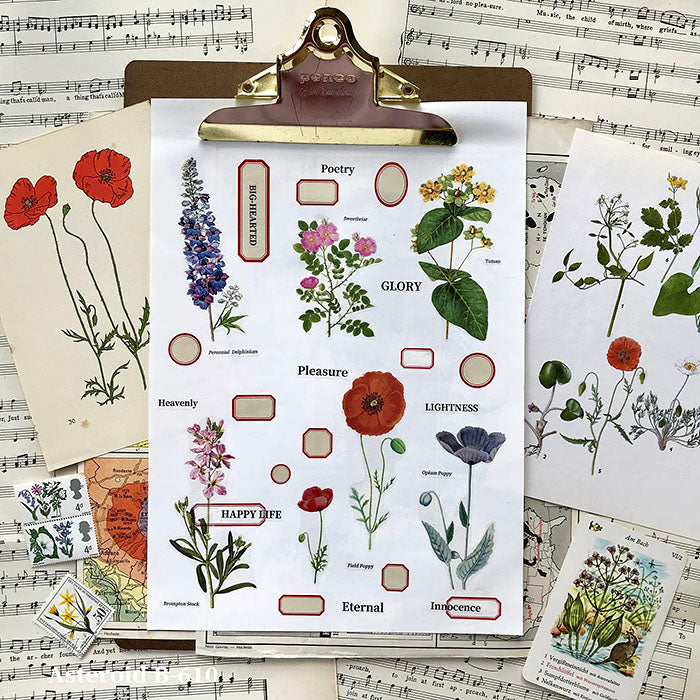 Botanical Plant Tape 55mm