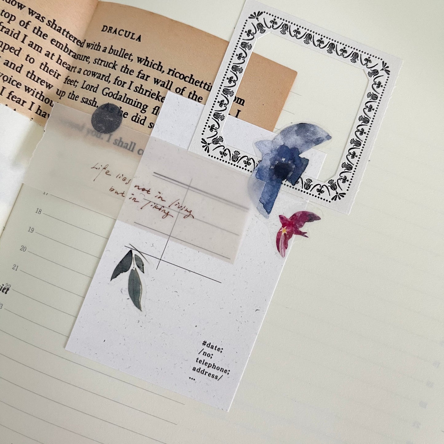 Bird Island PET Tape