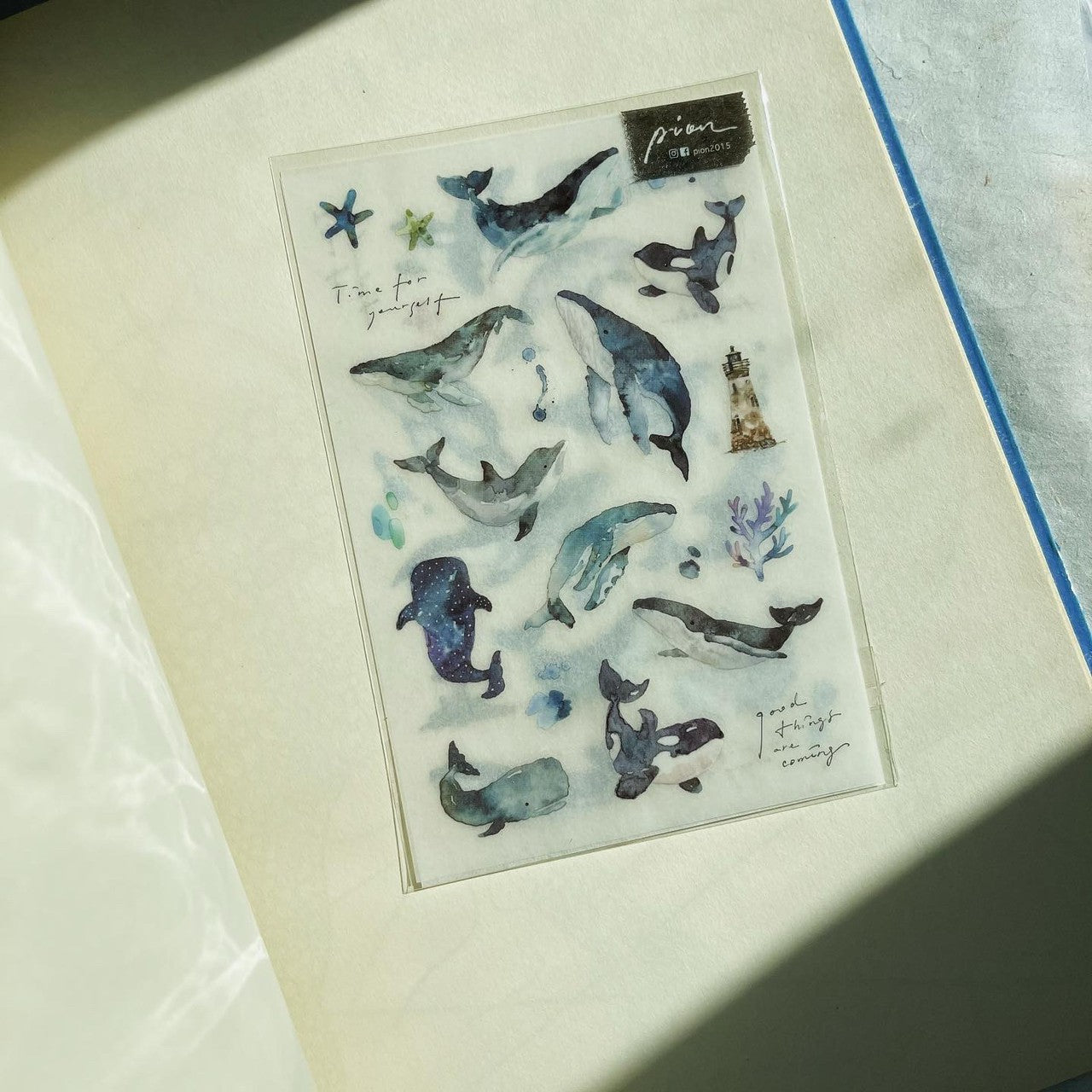 Whale Transfer Stickers