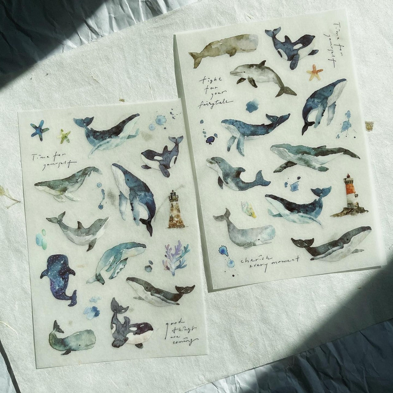 Whale Transfer Stickers