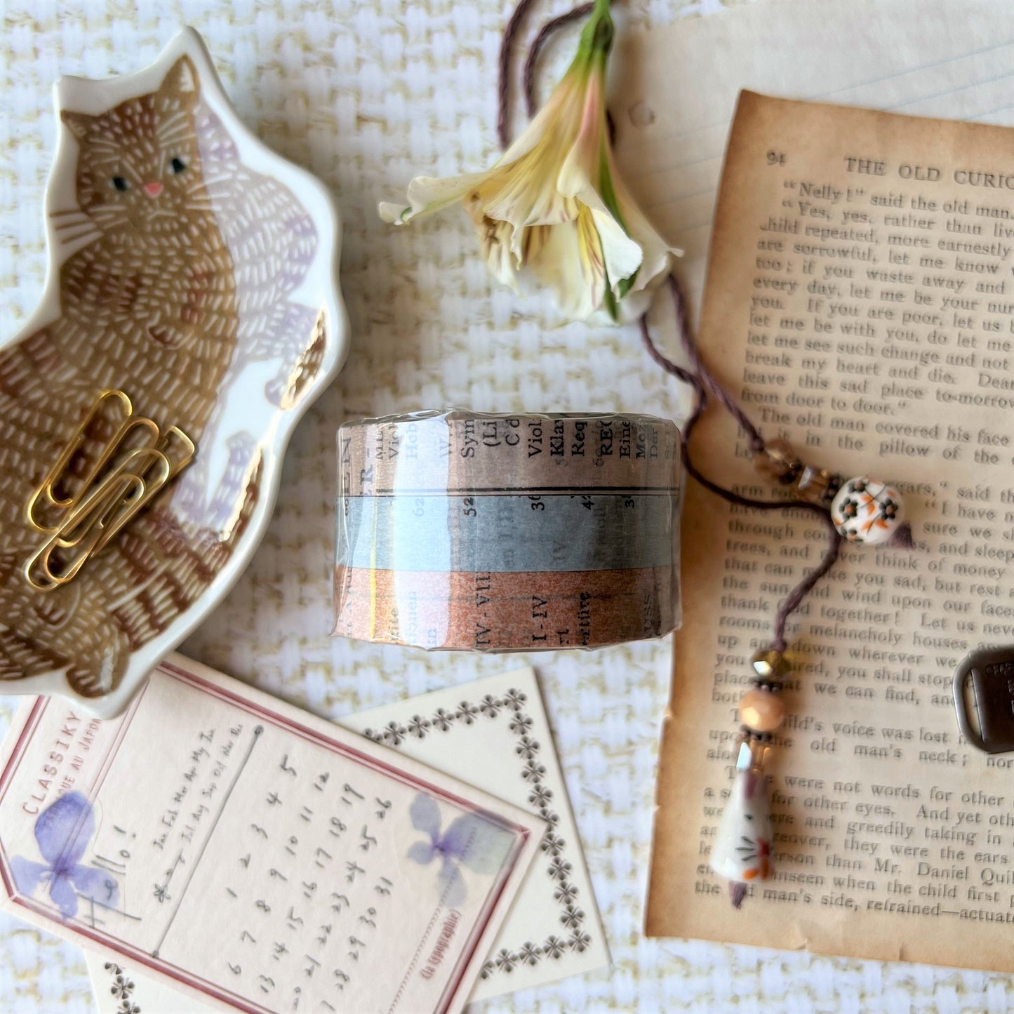 Old Book 10 mm Masking Tape Set