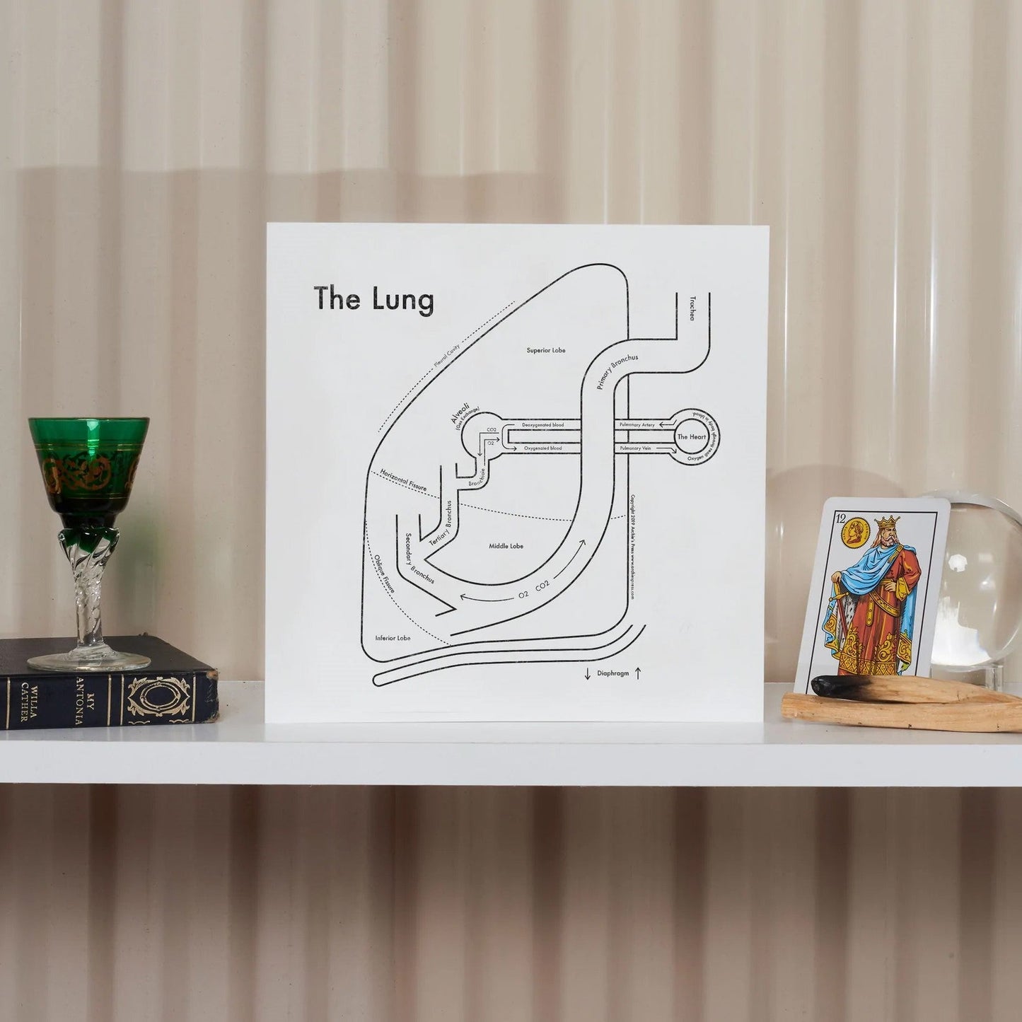 The Lung Letterpress Print
