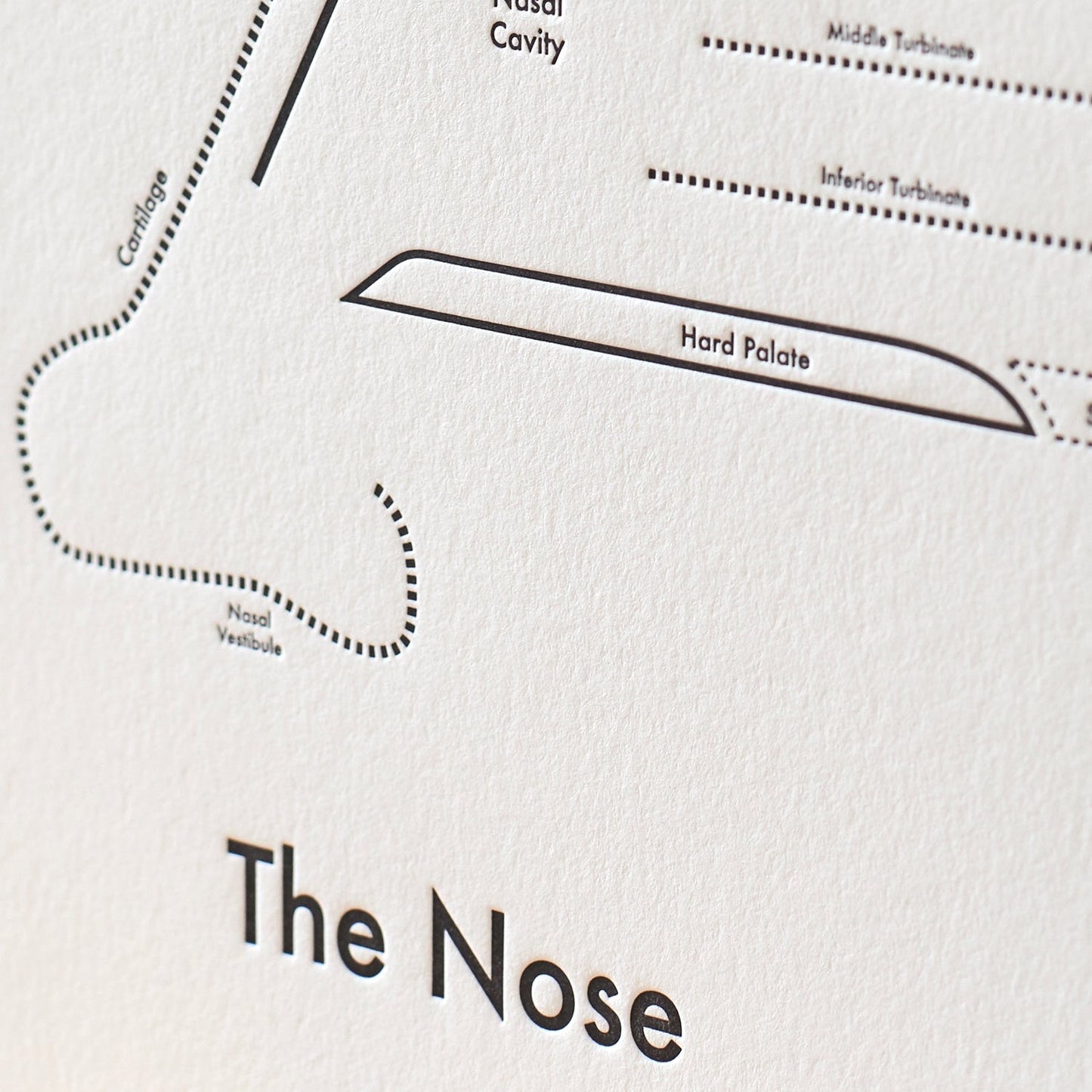 The Nose Letterpress Print