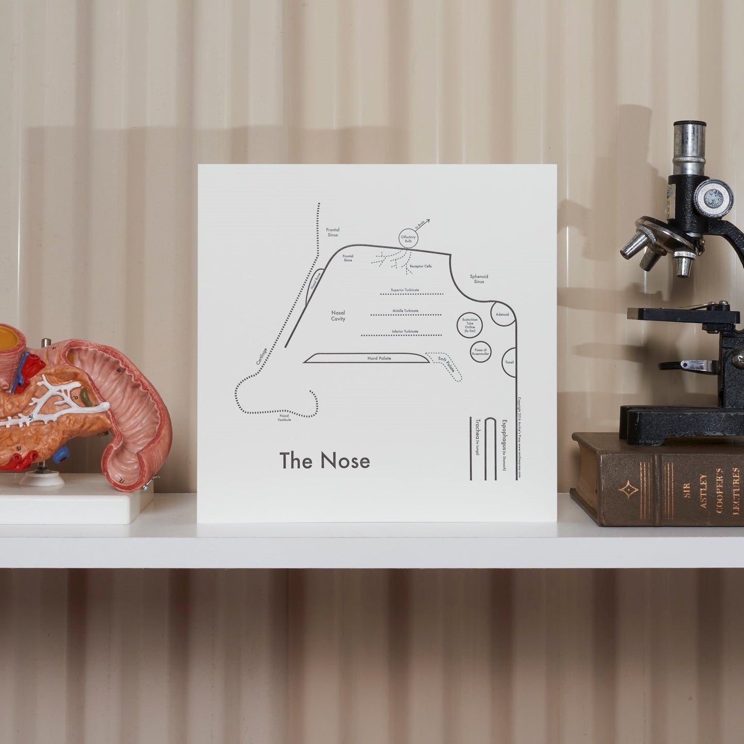The Nose Letterpress Print