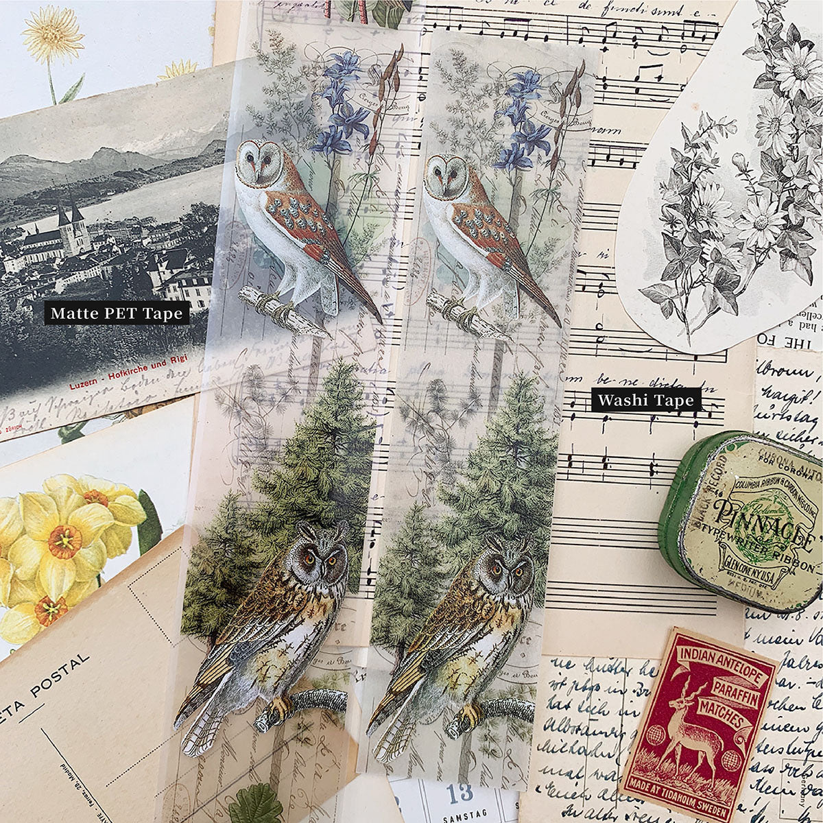 Collage No.2 – in the Forest Tape