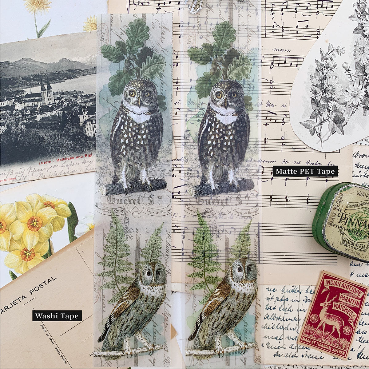 Collage No.2 – in the Forest Tape