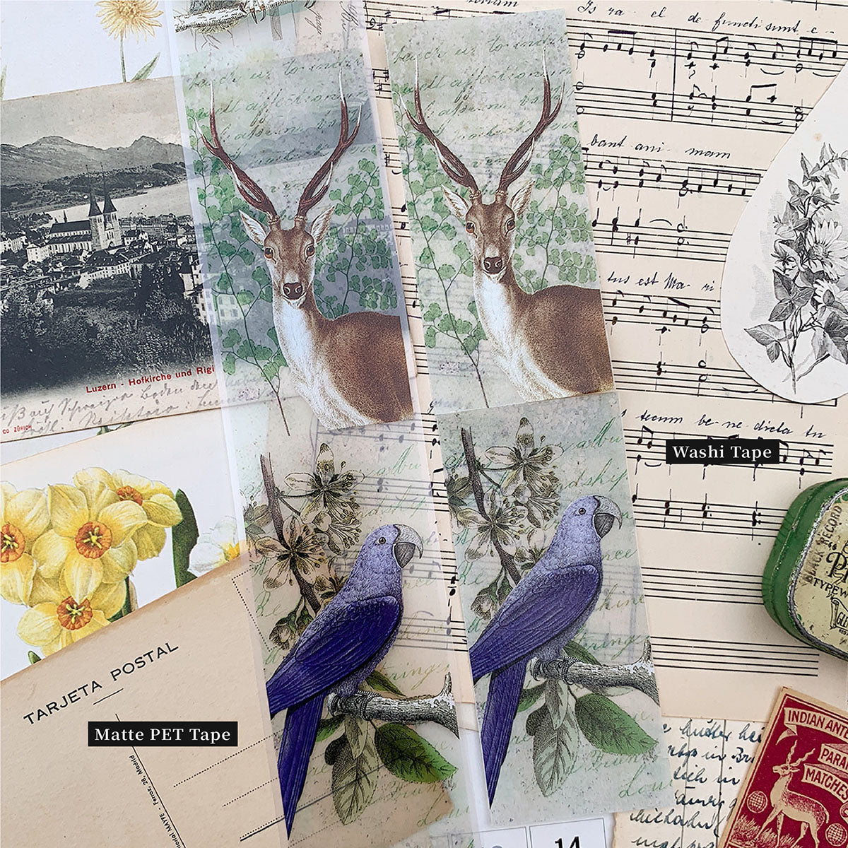 Collage No.2 – in the Forest Tape