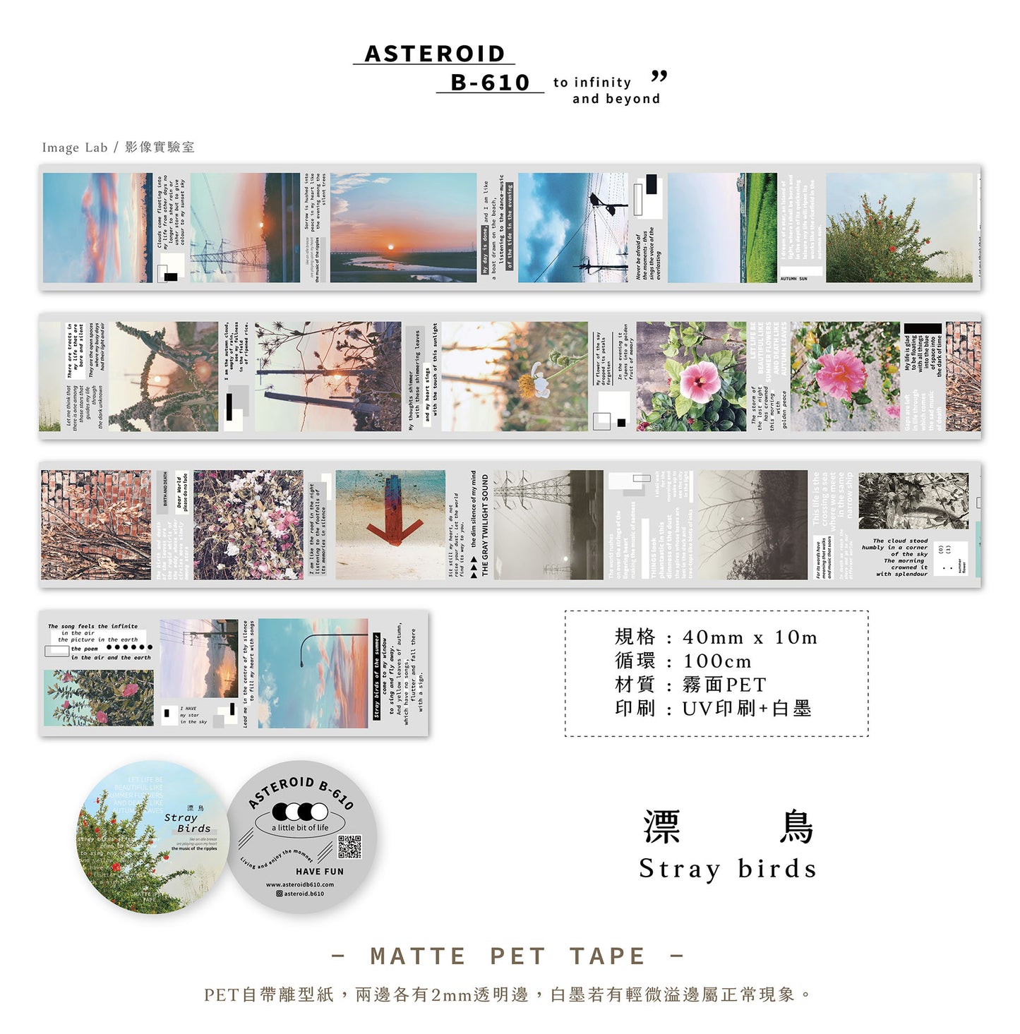 Stray Birds Matte PET Tape 40mm