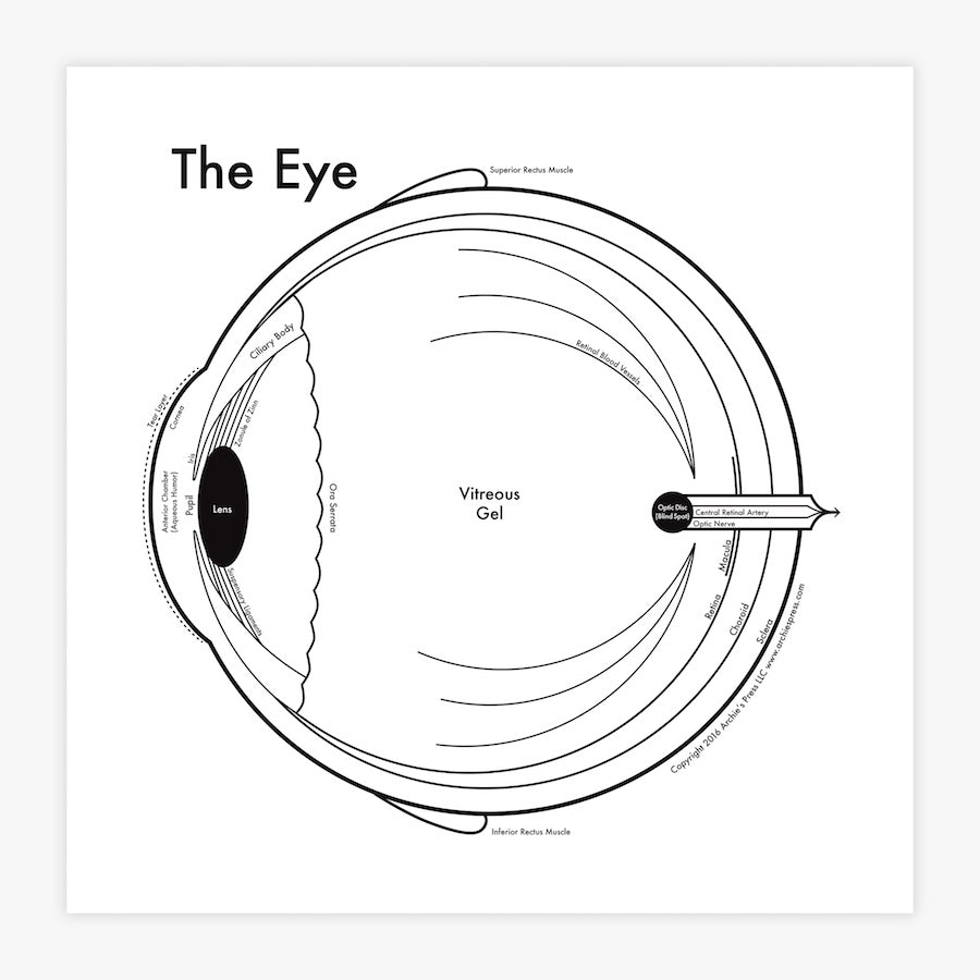 The Eye Letterpress Print