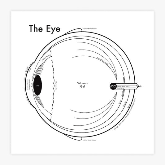 The Eye Letterpress Print